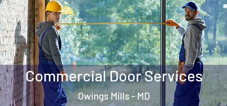 Commercial Door Services Owings Mills - MD