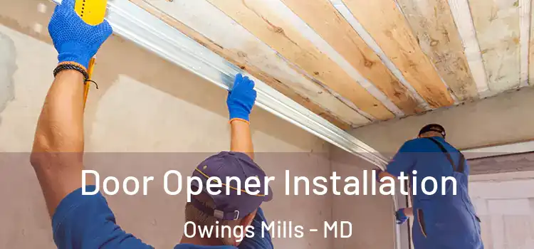  Door Opener Installation Owings Mills - MD