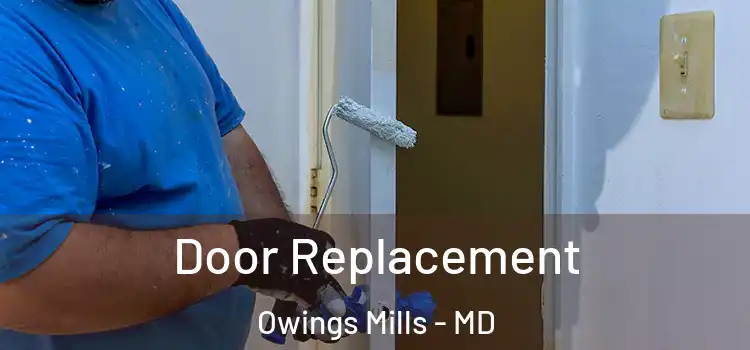 Door Replacement Owings Mills - MD