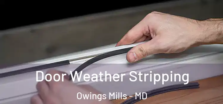 Door Weather Stripping Owings Mills - MD