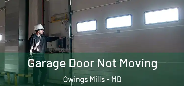  Garage Door Not Moving Owings Mills - MD
