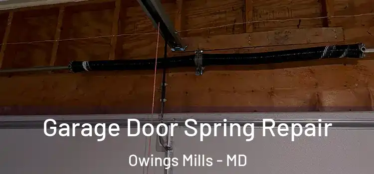  Garage Door Spring Repair Owings Mills - MD