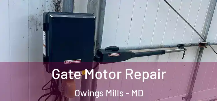 Gate Motor Repair Owings Mills - MD