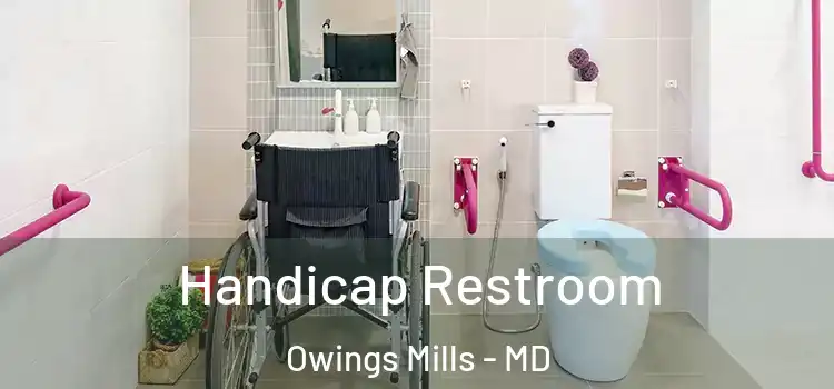 Handicap Restroom Owings Mills - MD