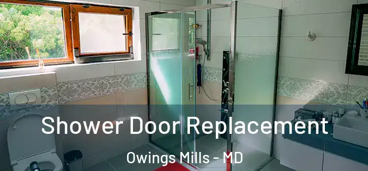 Shower Door Replacement Owings Mills - MD
